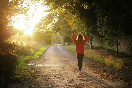 A person walking on a trail surrounded by trees.